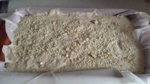 hleb od speltinog brašna - testo